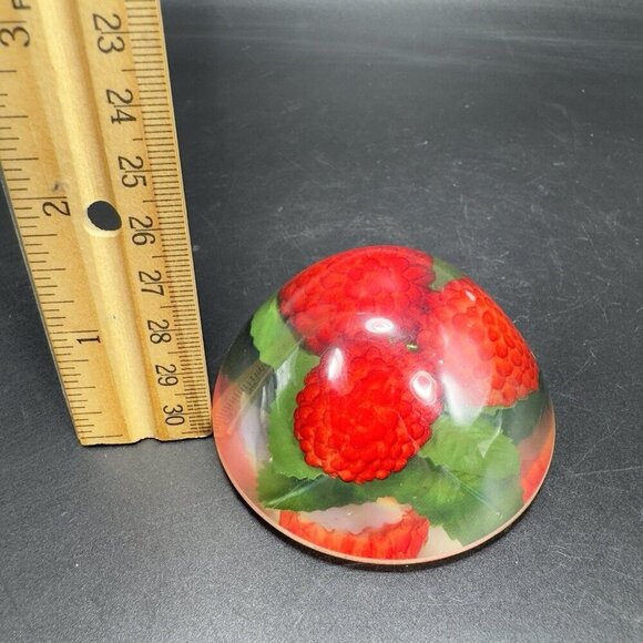 Dome Shape Acrylic Resin Lucite Round Paperweight Red Raspberry Leaves Vintage - Picture 2 of 13
